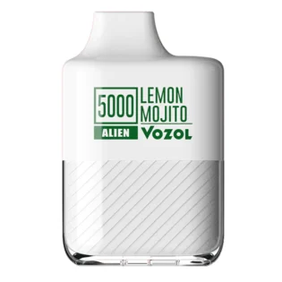 Vozol 5000 Lemon Mojita