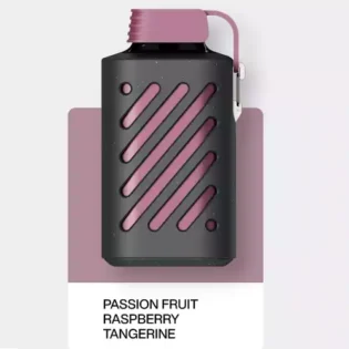 Vozol Gear 10000 Passion Fruit Raspberry Tangerine