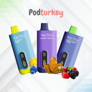 Saltica 12000 puff - saltica 10000 puff - podturkey3.com